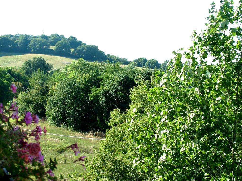 Aparthotel La Francigena Staggia Zewnętrze zdjęcie